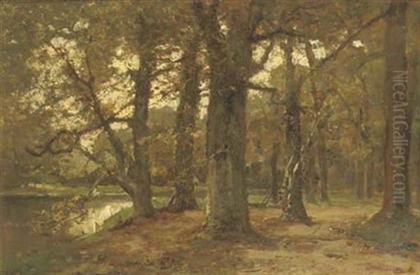 Vijver In T Haags Bosch: A Pond In A Forest Oil Painting by Frits Mondriaan