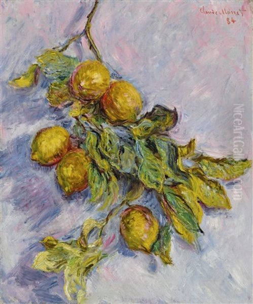 Citrons Sur Une Branche Oil Painting by Claude Monet