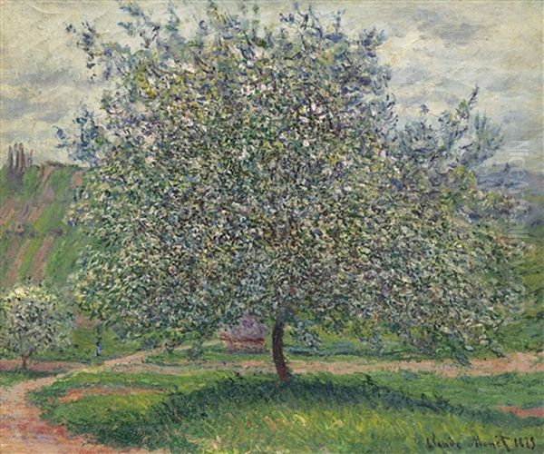 Le Pommier Oil Painting by Claude Monet