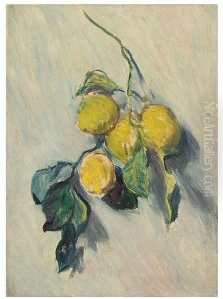 Branche De Citronnier Oil Painting by Claude Monet