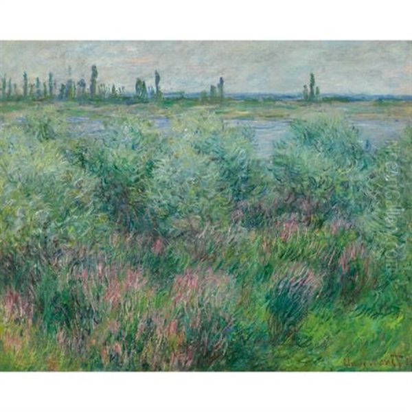 Berges De La Seine Pres De Vetheuil Oil Painting by Claude Monet