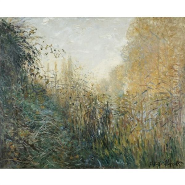 Joncs (study) Oil Painting by Claude Monet