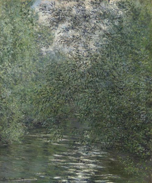 Le Fleuve Aux Saules Oil Painting by Claude Monet