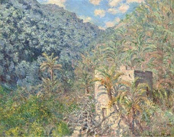 Oliviers Et Palmiers, Vallee De Sasso Oil Painting by Claude Monet