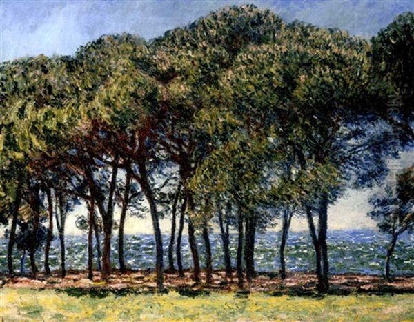 Pins, Cap D'antibes Oil Painting by Claude Monet