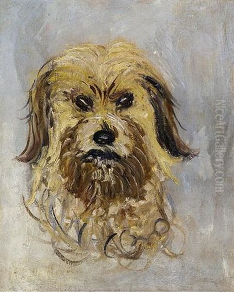 Tete De Chien Griffon, 