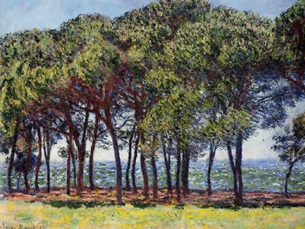 Pins, Cap D'antibes Oil Painting by Claude Monet