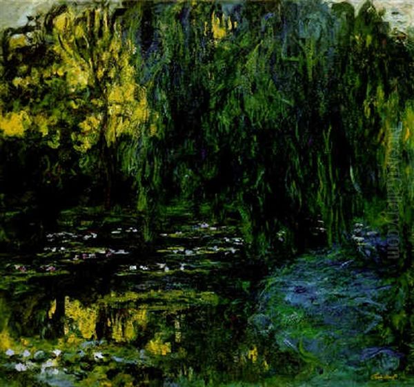 Vue Du Bassin Aux Nympheas Avec Saule Oil Painting by Claude Monet