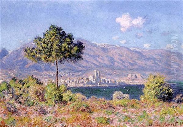 Antibes, Vue De Plateau Notre-dame Oil Painting by Claude Monet