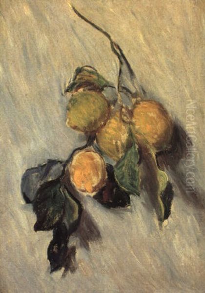 Branche De Citronnier Oil Painting by Claude Monet