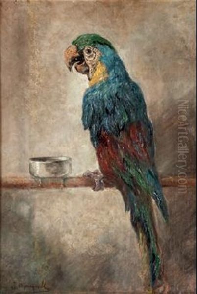 Cacatua Oil Painting by Jose Mongrell Torrent