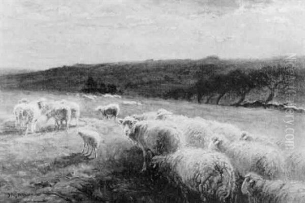 Sheep Grazing In A Landscape Oil Painting by John Austin Sands Monks