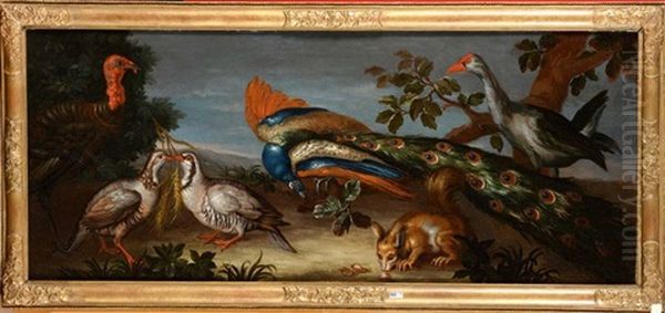 Oiseaux Et Ecureuil Dans Un Paysage Oil Painting by Jean-Baptiste Monnoyer