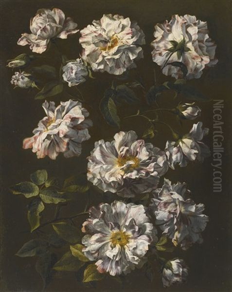 A Study Of Striped White Gallica Roses Oil Painting by Jean-Baptiste Monnoyer