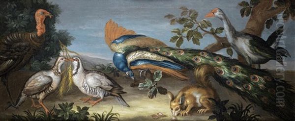 A Peacock, A Turkey, A Purple Gallinule, Partridges And A Squirrel In A Landscape Oil Painting by Jean-Baptiste Monnoyer