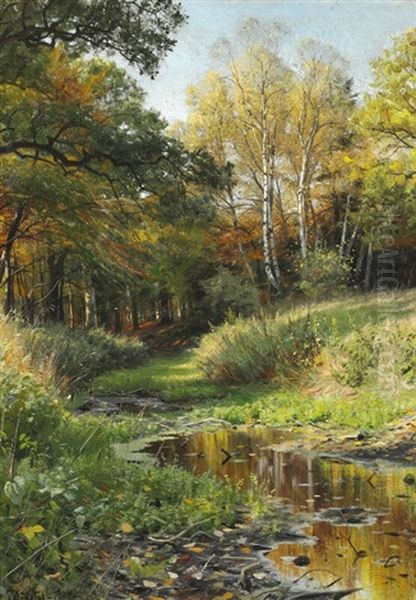 A Stream In The Forest, Early Autumn Oil Painting by Peder Mork Monsted