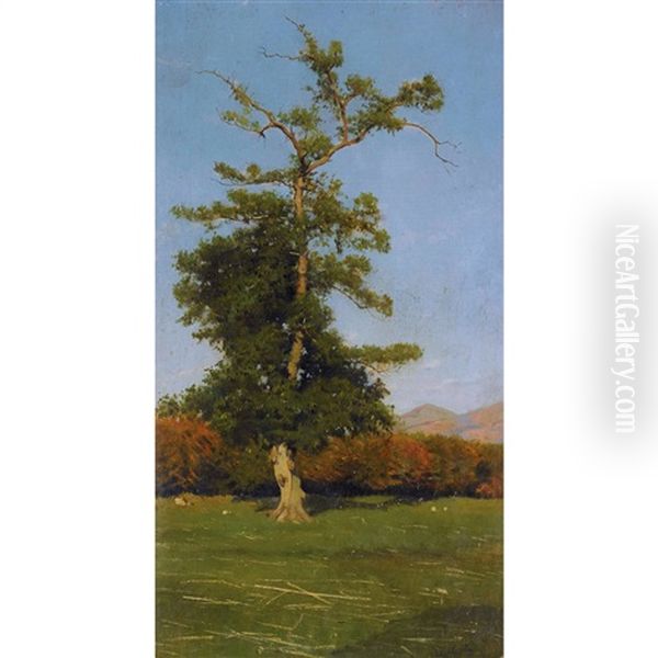 Landschaft Mit Baum Oil Painting by Eduardo Monteforte