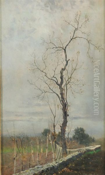 Muro Di Confine Con Albero Brullo Oil Painting by Eduardo Monteforte