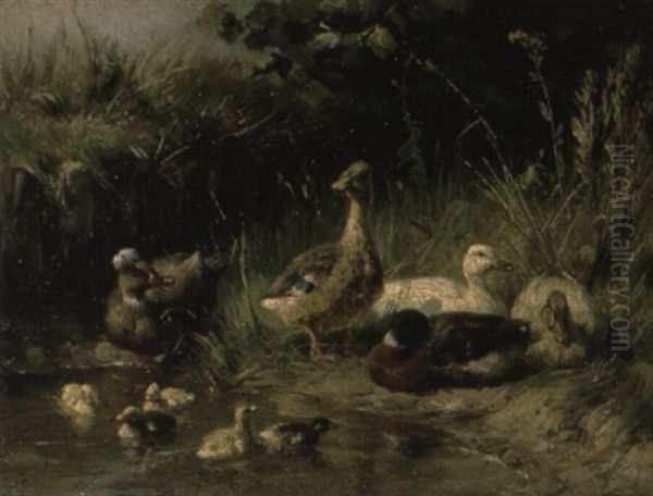 Ducks By A Pond Oil Painting by Antonis Matteo Montemezzo