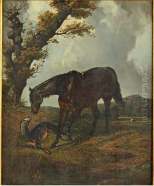 Jument Et Son Poulain Oil Painting by Henri d'Ainecy Montpezat