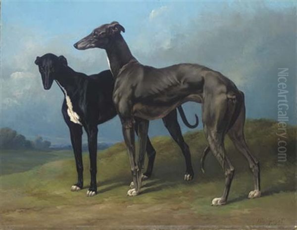 Greyhounds In A Landscape Oil Painting by Henri d'Ainecy Montpezat