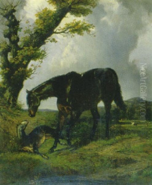 Stute Mit Fohlen Oil Painting by Henri d'Ainecy Montpezat