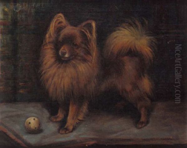 A Pommeranian Playing With A Ball Oil Painting by Fannie Moody