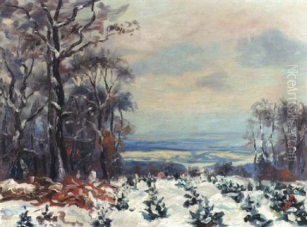 Winter Im Taunus Oil Painting by Friedrich Wilhelm Mook