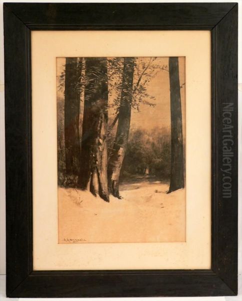 The Black Stained Oak Frame Is Original Oil Painting by Albion Harris Bicknell