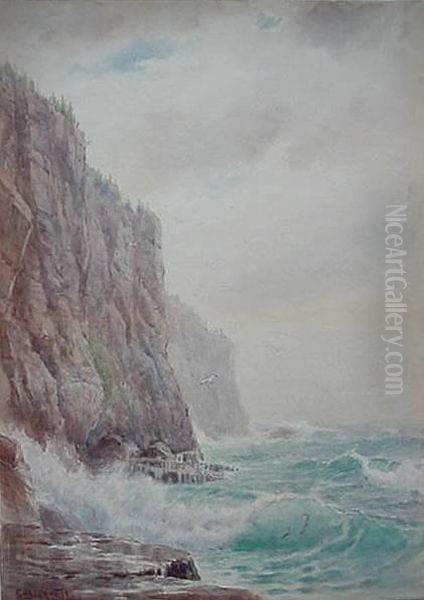 Maine Coast by Evelyn Bicknell