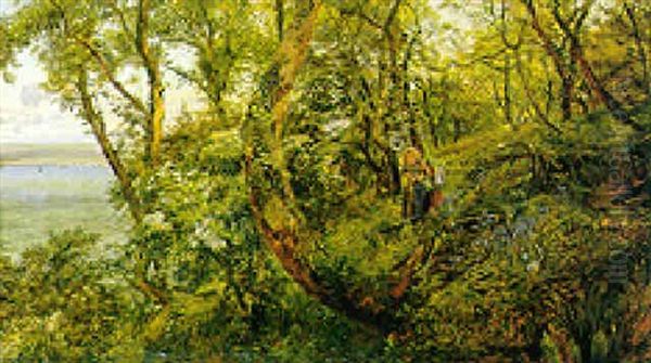 Clovelly Woods Oil Painting by Henry Moore