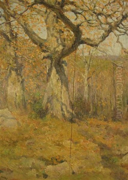 Autumn Forest Oil Painting by Francis Luis Mora