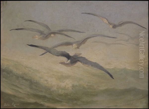 Birds In Flight Oil Painting by Edward Moran