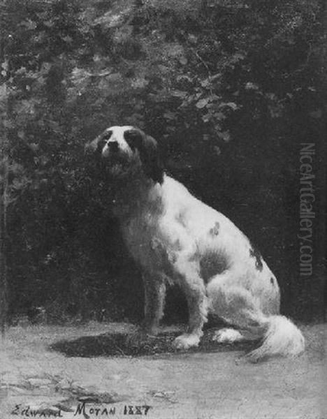 Portrait Of A Dog Oil Painting by Edward Moran