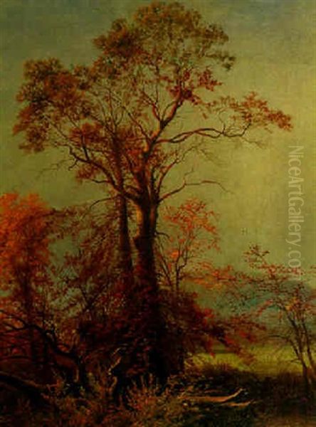 Trees In A Landscape Oil Painting by Edward Moran