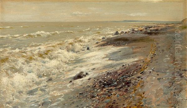 Der Strand Bei Sassnitz (rugen) Oil Painting by Walter Moras