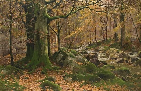 Herbstlicher Waldbach Oil Painting by Walter Moras