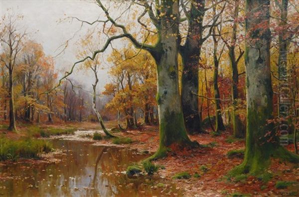 Creek In An Autumnal Forest Oil Painting by Walter Moras