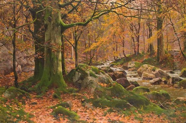 Herbst Am Waldbach Oil Painting by Walter Moras