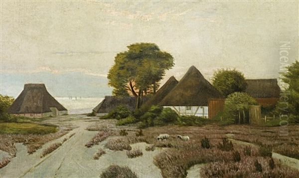 Abend An Der Kuste Bei Ahrenshoop Oil Painting by Walter Moras