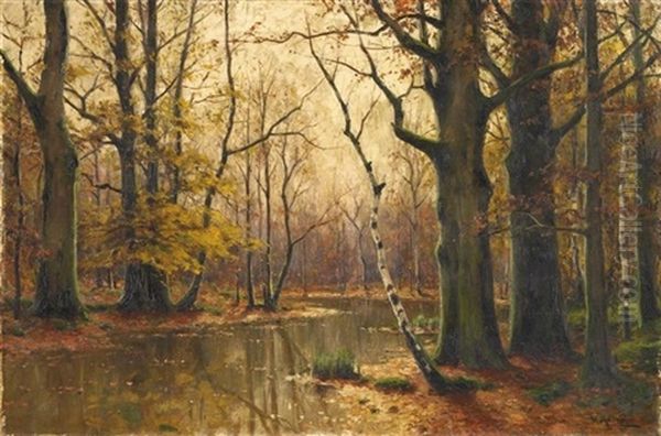 Blick In Herbstlichen Laubwald Oil Painting by Walter Moras