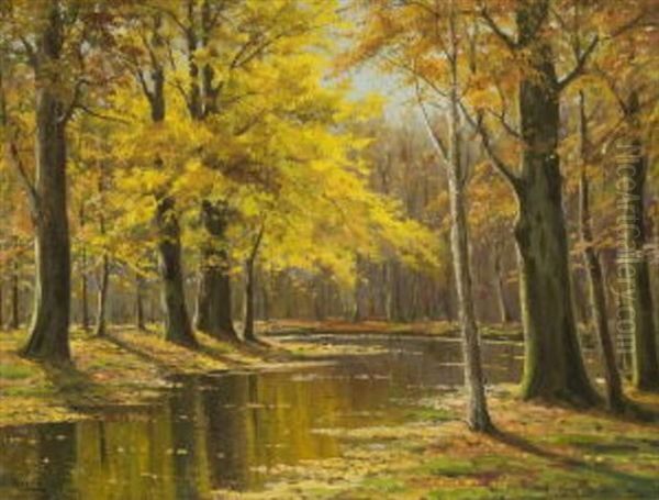 Bachlauf Im Herbstwald Oil Painting by Walter Moras