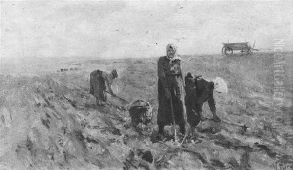 Bauerinnen Bei Der Kartoffelernte Oil Painting by Walter Moras