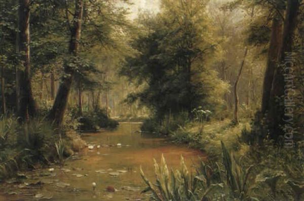 Fluss In Waldlandschaft by Walter Moras