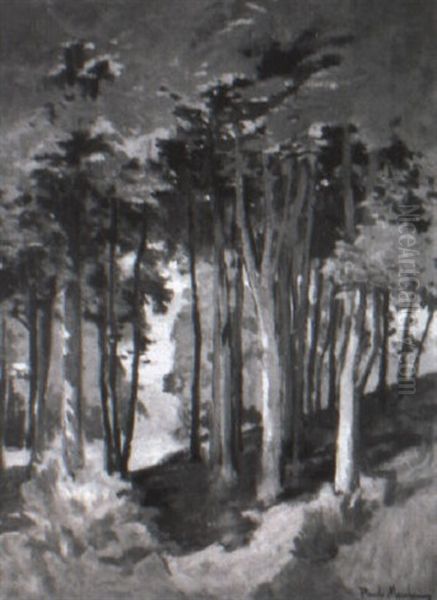 Sous-bois Aux Plomarch Oil Painting by Paul Bernard Morchain