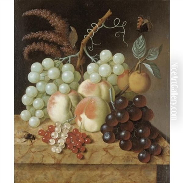 Still Life With Peaches, Apricots, Grapes, Berries, A Fly And A Butterfly On A Marble Ledge Oil Painting by Jan Evert Morel the Elder