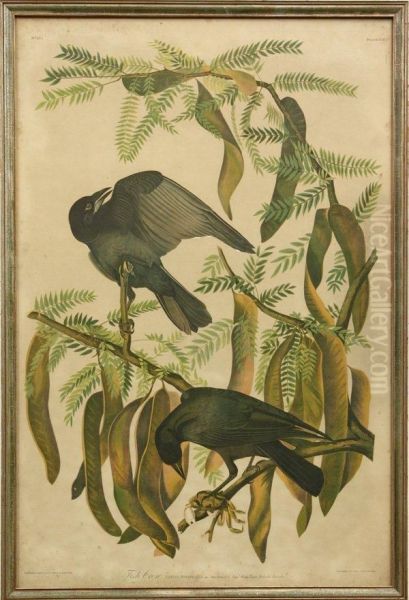 Fish Crow Oil Painting by Julius Bien