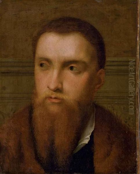 Portrait D'un Homme Barbu Oil Painting by  Moretto da Brescia