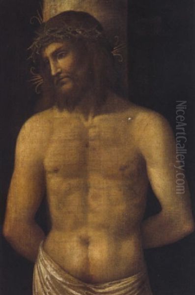 Cristo Alla Colonna Oil Painting by  Moretto da Brescia