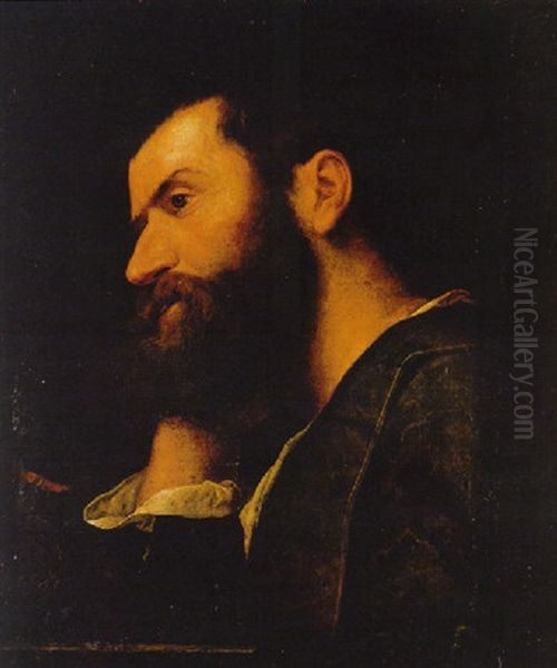 Retrato De Un Hombre (el Poeta Pietro Aretino?) Apoyando Su Cabeza Sobre La Mano Derecha Oil Painting by  Moretto da Brescia